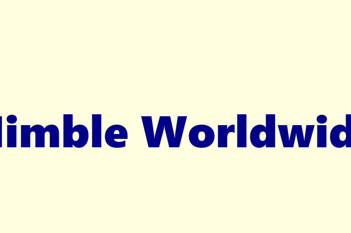 Software Engineering Company Nimble Worldwide