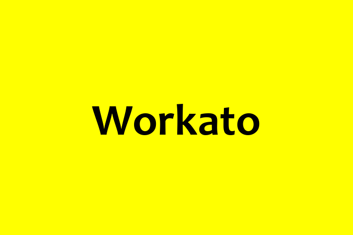 Software Consultancy Workato