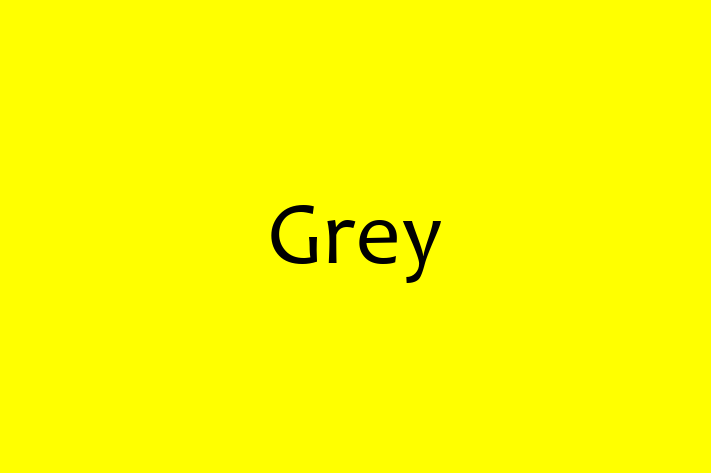 Software Firm Grey