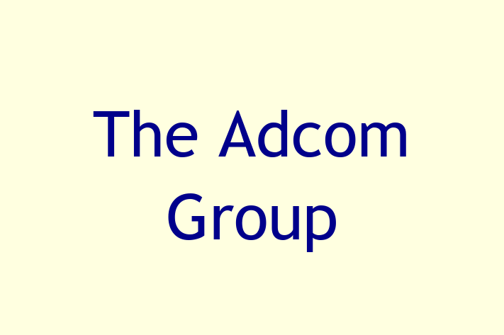 Software Engineering Company The Adcom Group