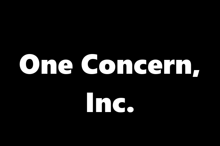 IT Company One Concern Inc.