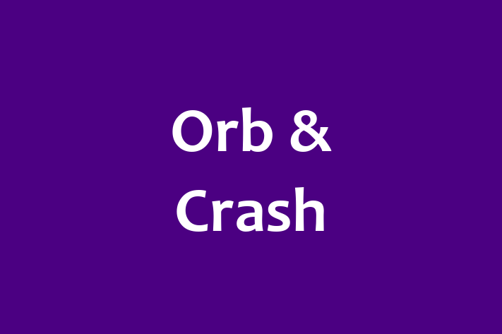 Technology Solutions Firm Orb Crash