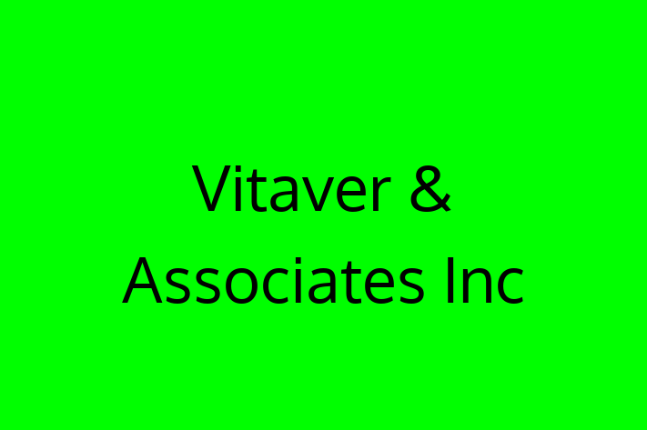 Tech Solutions Company Vitaver Associates Inc