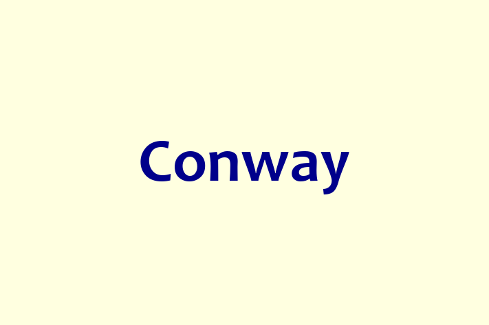 Software Development Firm Conway