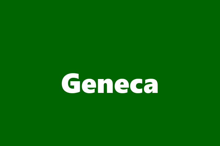 Labor Relations Geneca