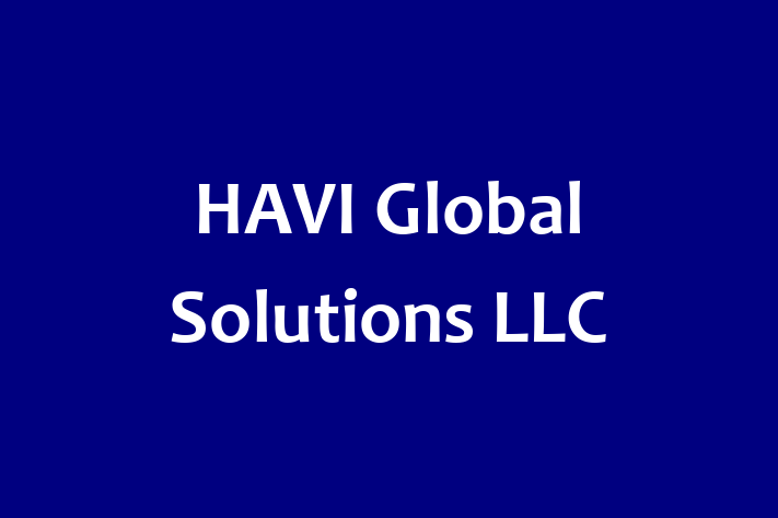 Application Development Company HAVI Global Solutions LLC