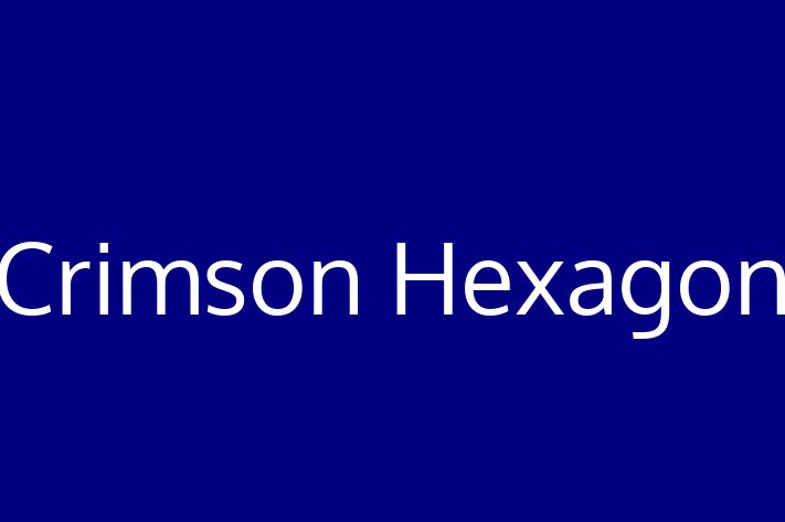 Software Development Company Crimson Hexagon