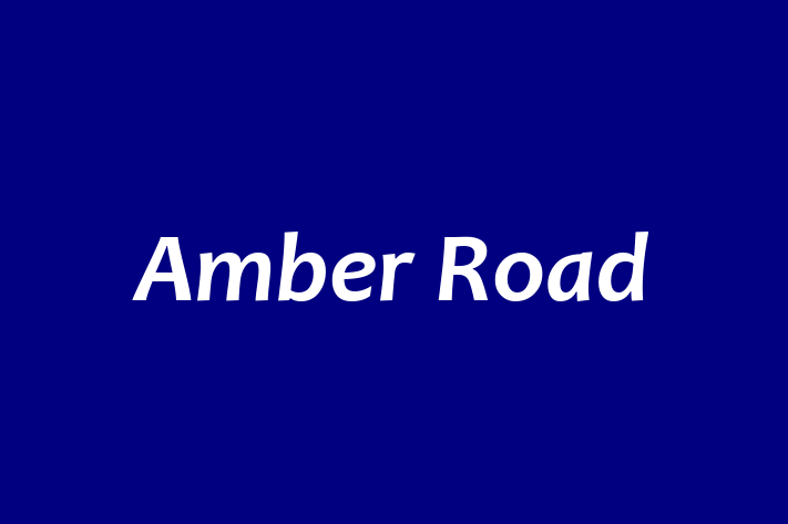 Tech Firm Amber Road