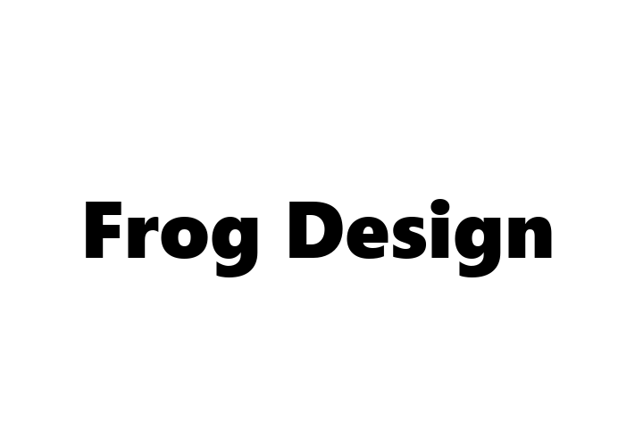 Software Engineering Company Frog Design