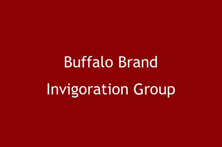 Digital Solutions Provider Buffalo Brand Invigoration Group