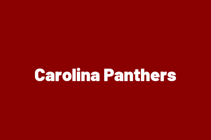 Human Capital Management Carolina Panthers