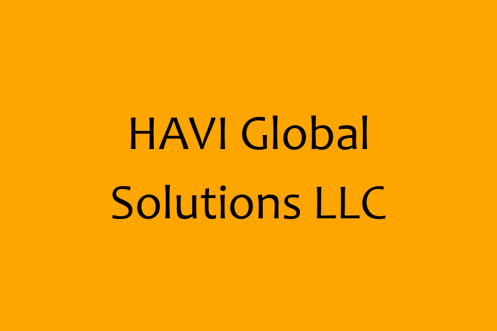 Software Consultancy HAVI Global Solutions LLC