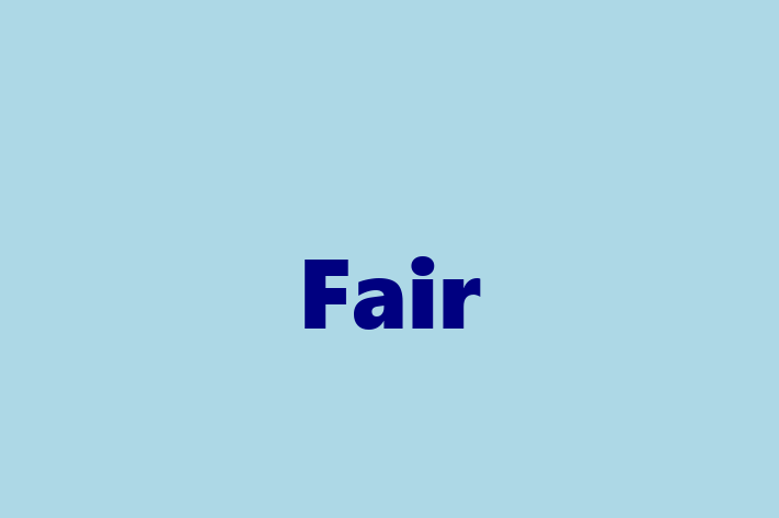 IT Company Fair