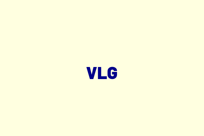 Software Development Company VLG