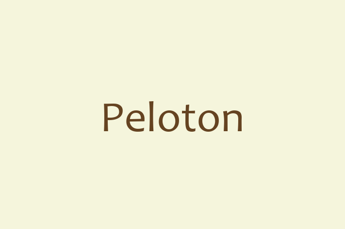 Software Consultancy Peloton