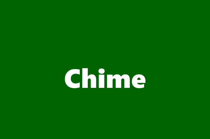 Tech Firm Chime