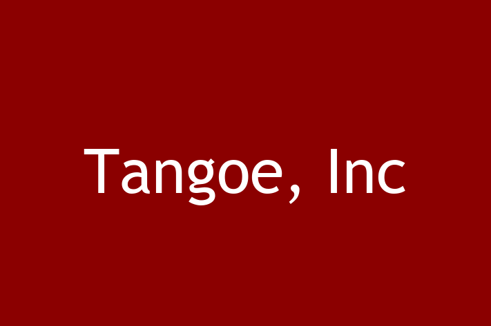 IT Company Tangoe Inc