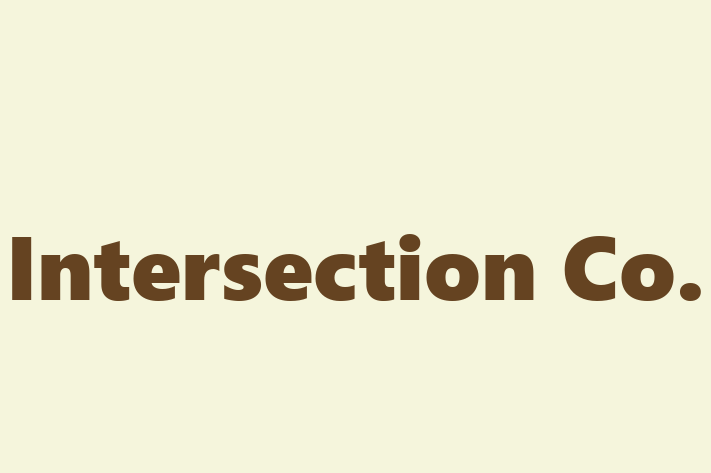 Software Consultancy Intersection Co.