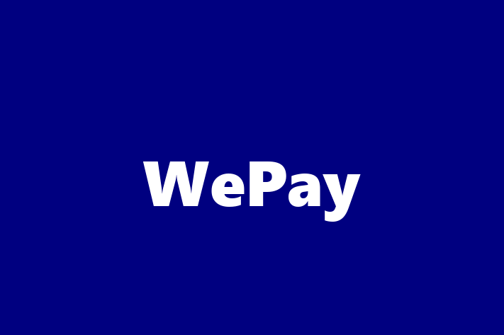 Tech Solutions Company WePay