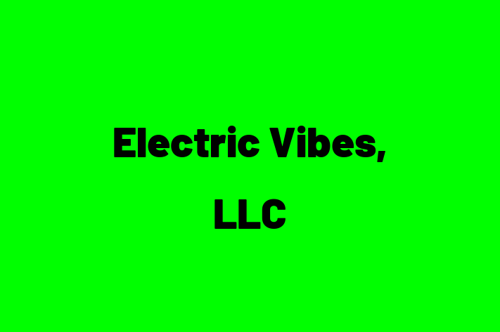 IT Company Electric Vibes LLC