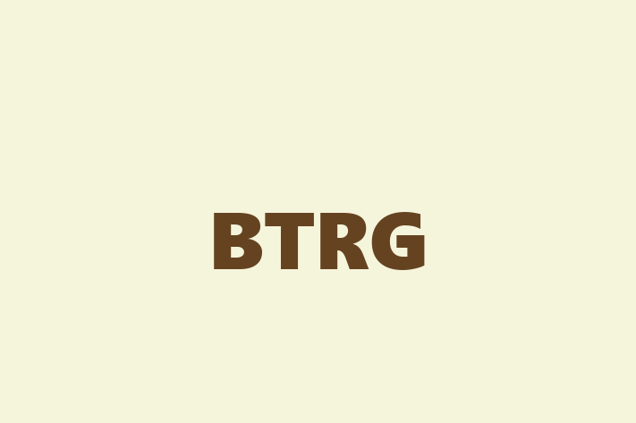 Software Solutions Provider BTRG