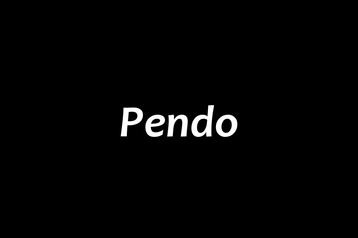 Software Consultancy Pendo