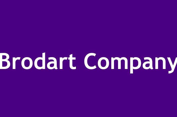 Software Consultancy Brodart Company