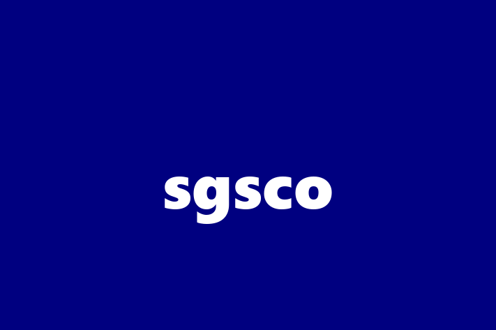 IT Company sgsco