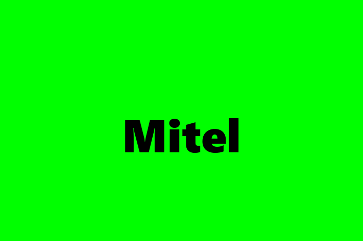 Digital Solutions Provider Mitel