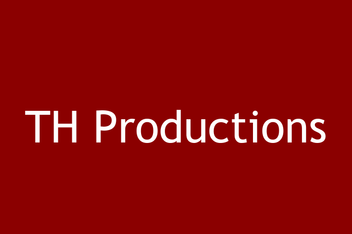 Software Development Firm TH Productions