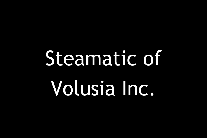 Home Maintenance Steamatic of Volusia Inc.