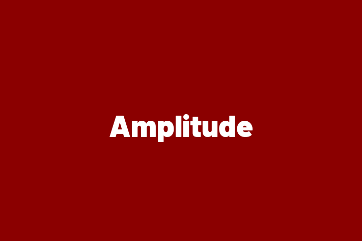 Digital Solutions Provider Amplitude