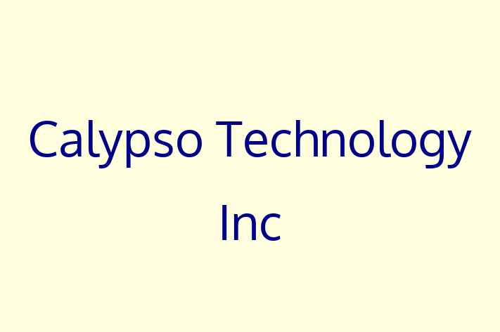 Software Development Firm Calypso Technology Inc