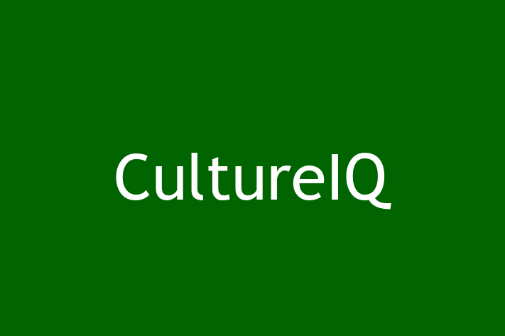 Software Development Company CultureIQ