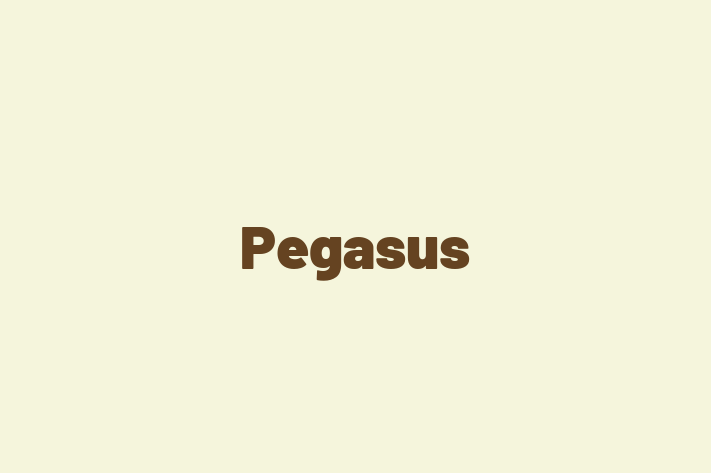 Employee Relations Pegasus