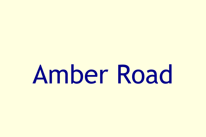 Software Development Company Amber Road