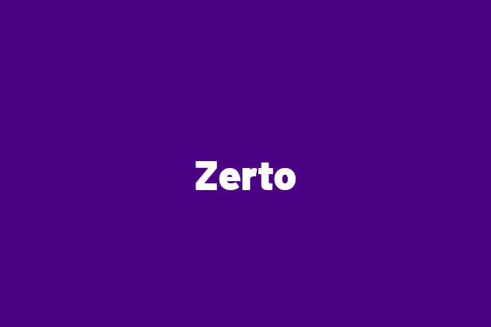 Software Solutions Provider Zerto