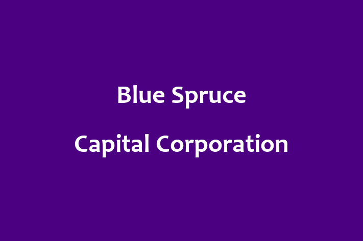 Talent Management Blue Spruce Capital Corporation