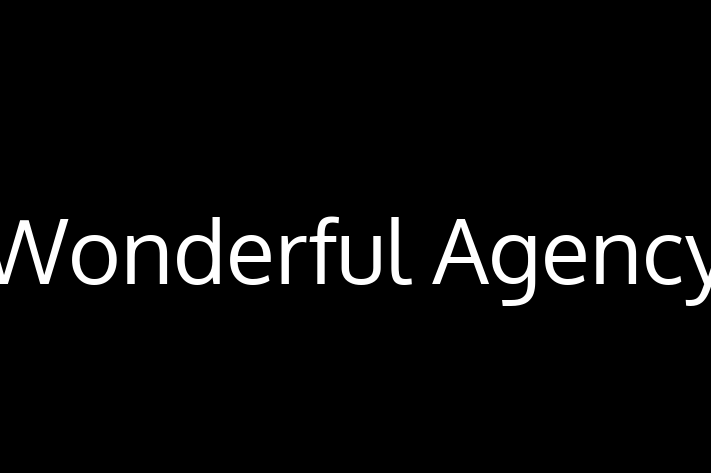 Tech Firm Wonderful Agency