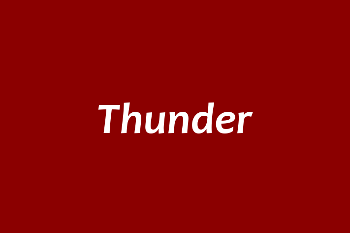 Employee Relations Thunder