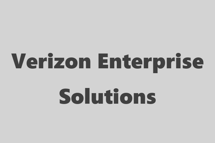 Tech Solutions Company Verizon Enterprise Solutions