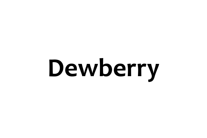 Digital Solutions Provider Dewberry