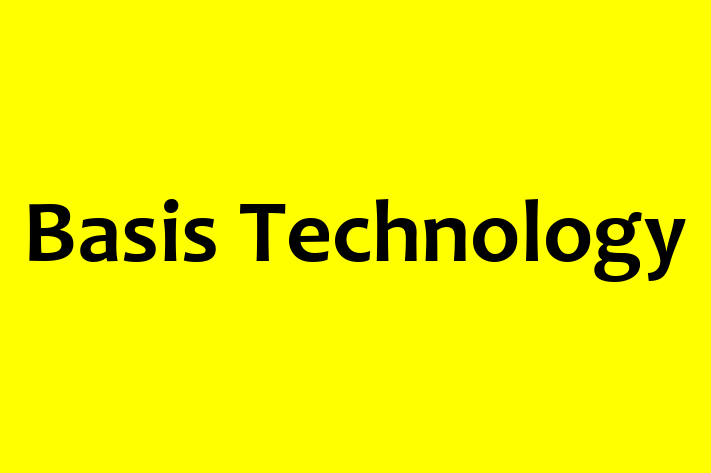 IT Company Basis Technology