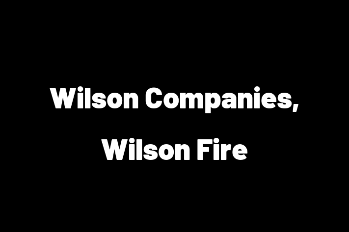 Software Solutions Provider Wilson Companies Wilson Fire