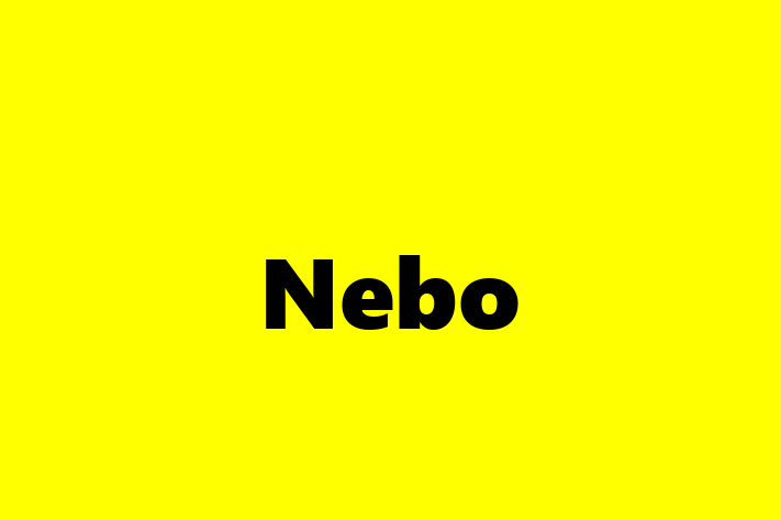 Technology Company Nebo