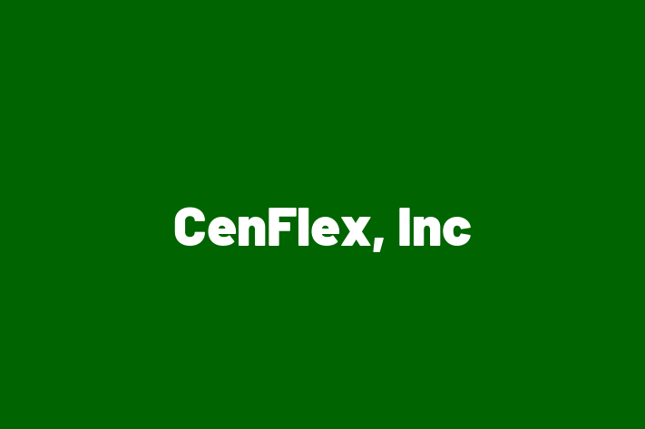 Workforce Management CenFlex Inc