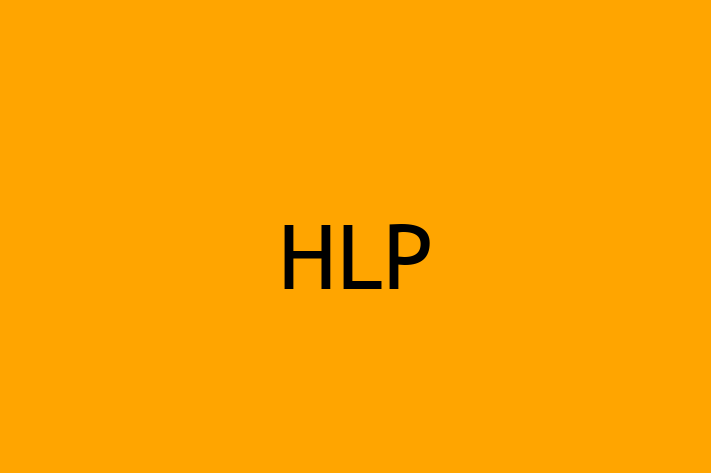 Software Services Company HLP