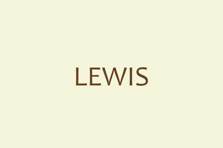 Software Development Firm LEWIS