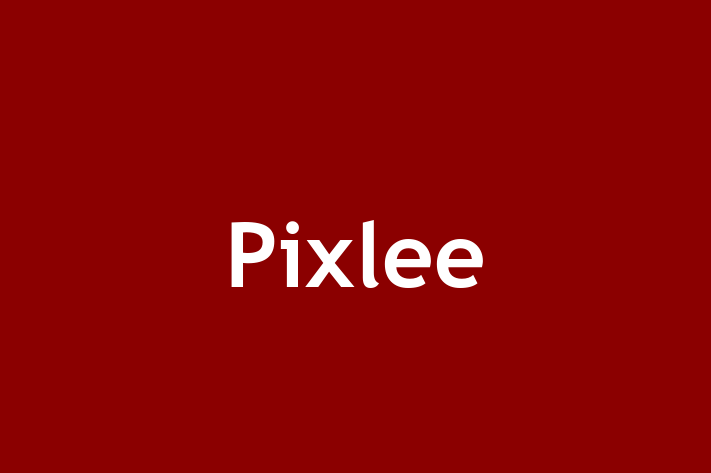 Software Firm Pixlee