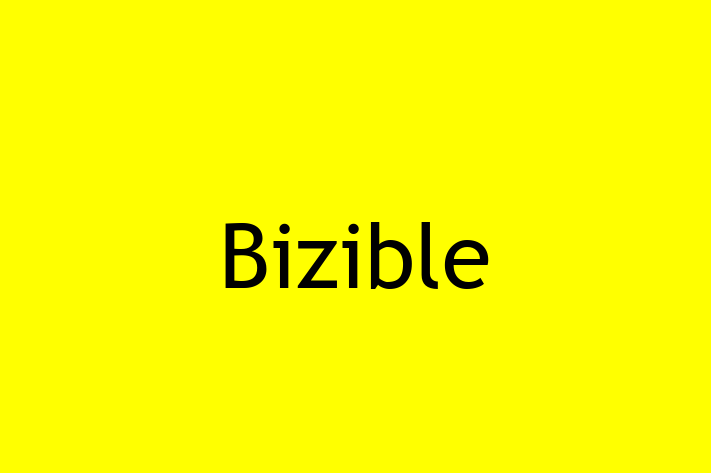 Application Development Company Bizible